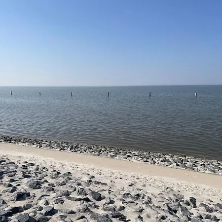 Silbermoewe By Interhome